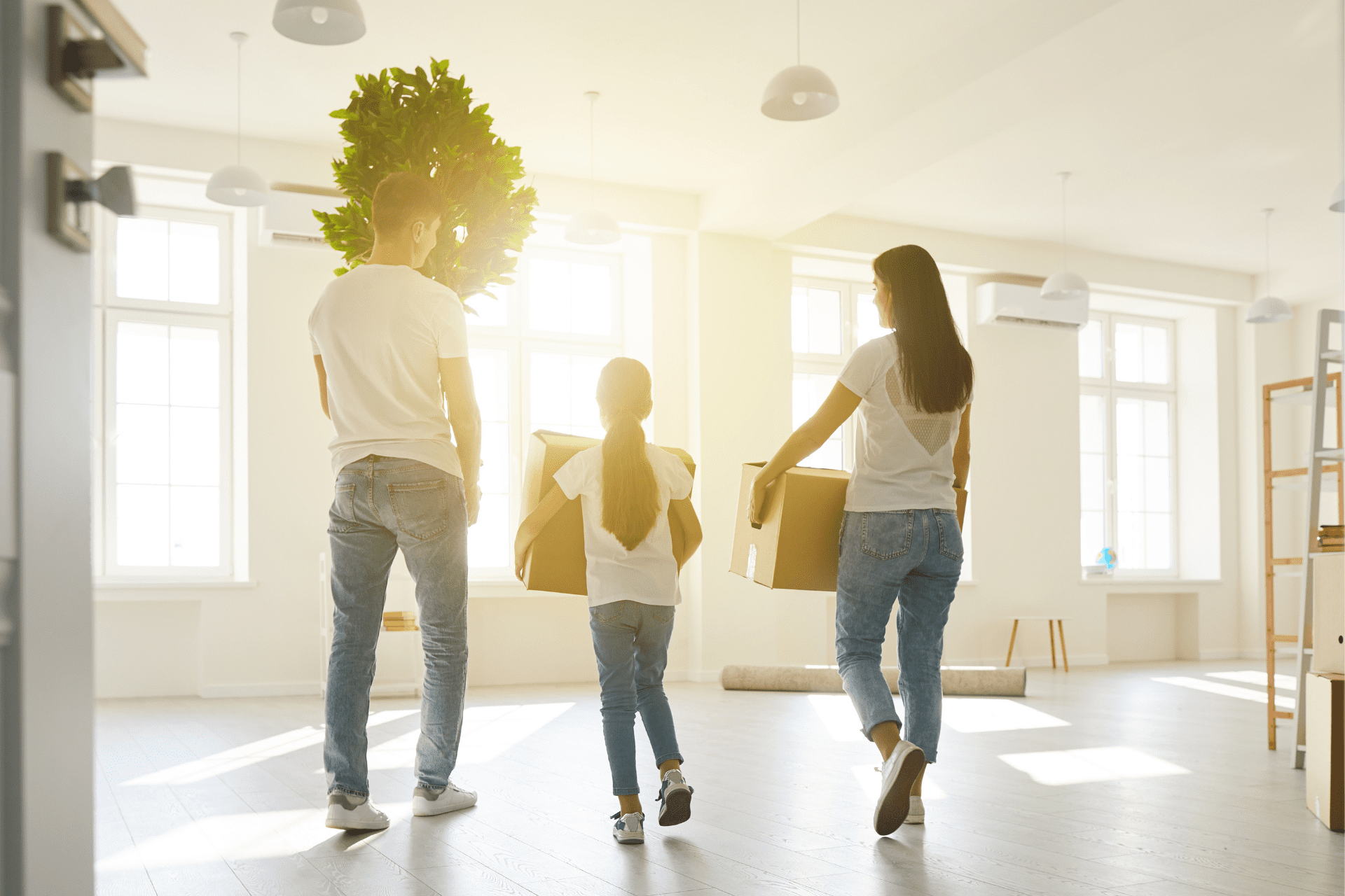 Another HO Insurer, Viceroy, Approved for Florida Market, Regulators Say